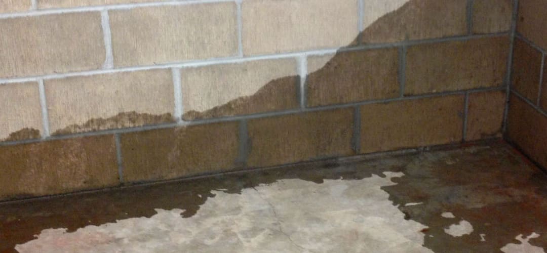 leaky basement wall