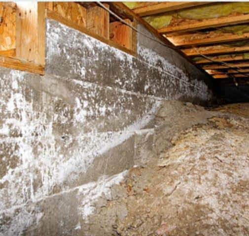 Benefits of Attic Insulation in Hempstead points